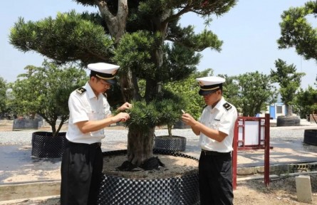 海關科普：數字解讀《生物安全法》與海關執法