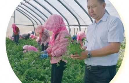 寧夏石嘴山蔣洪波：領著大家干，幫著大家賺