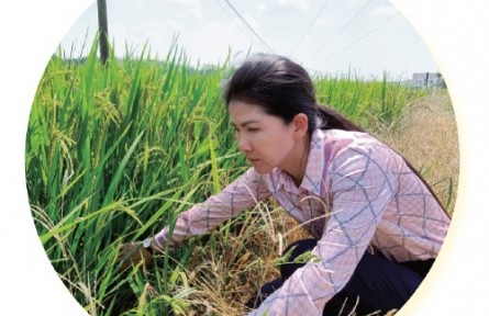 湖南岳陽董敏芳：讓農民種田更輕松