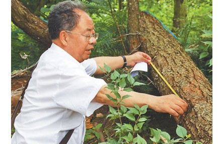 西南林業大學教授李鄉旺：扎根云嶺 守護青山