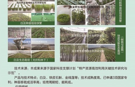 功能性植物種苗工廠化組培快繁、生態立體種植及高值產品開發