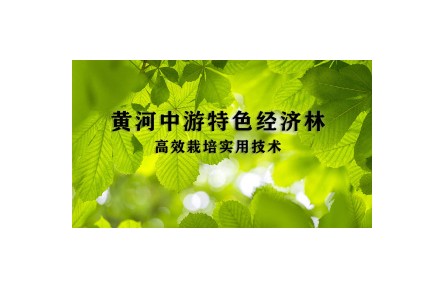 1 沙棘資源培育和利用技術—《黃河中游特色經濟林高效栽培實用技術》