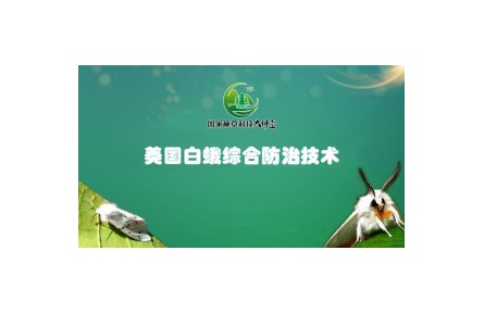 《美國白蛾綜合防治技術》系列講座視頻