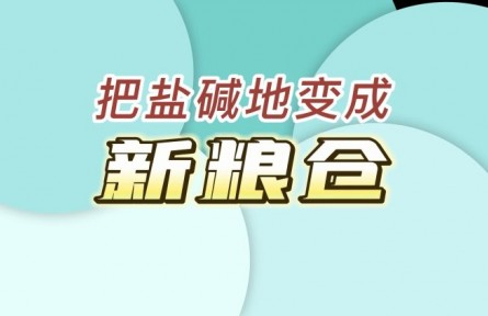 國家鹽堿地綜合利用技術創新中心：把鹽堿地變成“新糧倉”