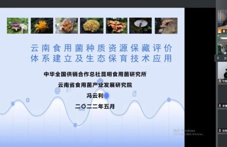 中華全國供銷合作總社昆明食用菌研究所“云南食用菌種質資源收集保存、鑒定評價和生態促繁技術應用”成果評價公告【2022（47號）】