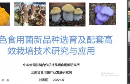 中華全國供銷合作總社昆明食用菌研究所“特色食用菌新品種選育及配套高效栽培技術創新與產業化應用”成果評價公告【2022（48號）】