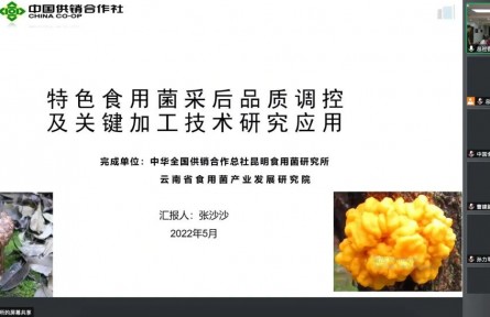 中華全國供銷合作總社昆明食用菌研究所“特色食用菌采后品質調控及關鍵加工技術推廣應用”成果評價公告【2022（50號）】