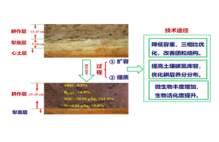 8.冬小麥秸稈還田“兩旋一深”增產增效技術