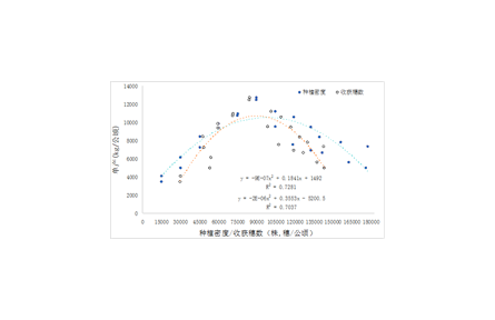 10.密植夏玉米籽粒機械收獲生產技術規程