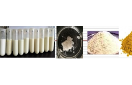 33.生姜精深加工及副產物綜合利用技術研究與示范