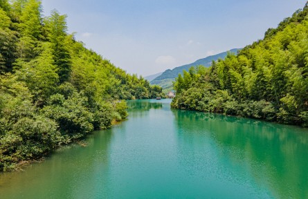 全國生態日記者行 | 點“水”亦成金——解鎖浙江省杭州市余杭區青山村生態富民密碼