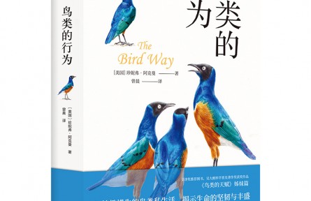 妙趣橫生的鳥類私生活，顛覆你的傳統認知