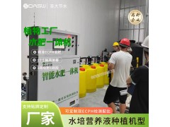 植物工廠水肥一體化設備 智慧農業營養液水培蔬菜自動灌溉施肥機