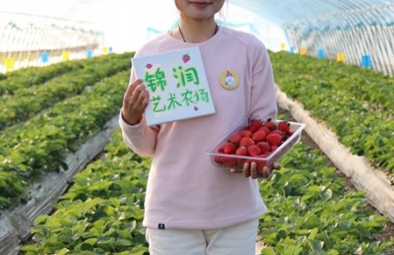 王鶴：“00后”女孩返鄉做種草莓的藝術家