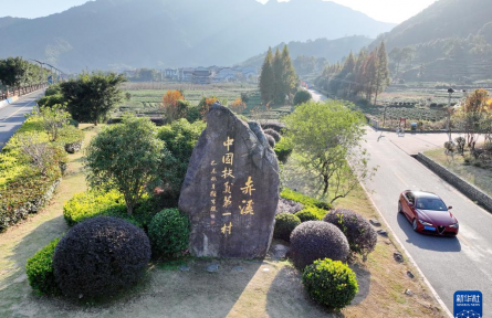 黨建引領 產業做強——“中國扶貧第一村”福建赤溪鄉村振興蹲點觀察