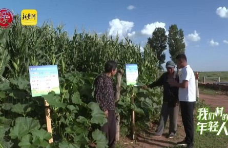 李貴鵬：大學生返鄉種玉米，讓農民過上甜日子