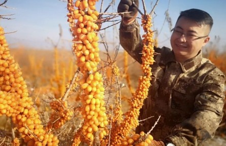 中國青年五四獎章獲得者王軍揚：為鄉村振興貢獻智慧和力量