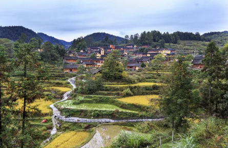 綠水青山解鄉愁 美麗經濟富百姓