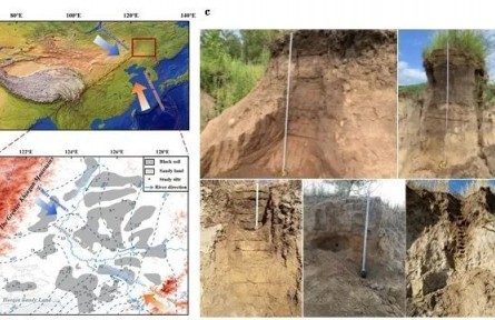 科普|東北黑土是“大風刮來”的？