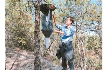 樊建庭：用科技筑牢重大林業有害生物防線