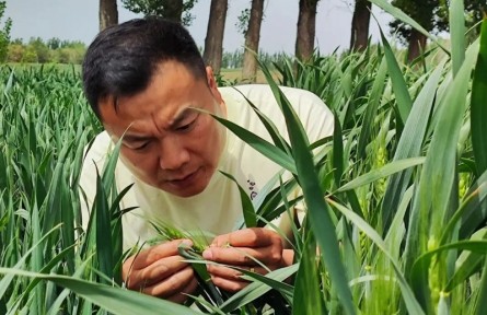 陳江魯：扎根田間地頭 助農增產增收