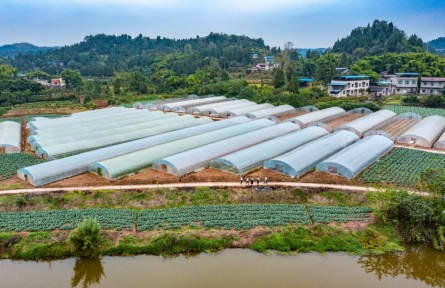 結對蹲點 與榜樣同行|何波：干群一致，沒有辦不好的事